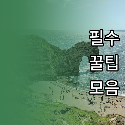 구글 지도로 현지 맛집 찾는 완벽 노..