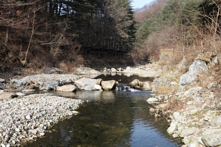 남양주 계곡캠핑, '힐링별밤수목원캠핑장' 미리보기