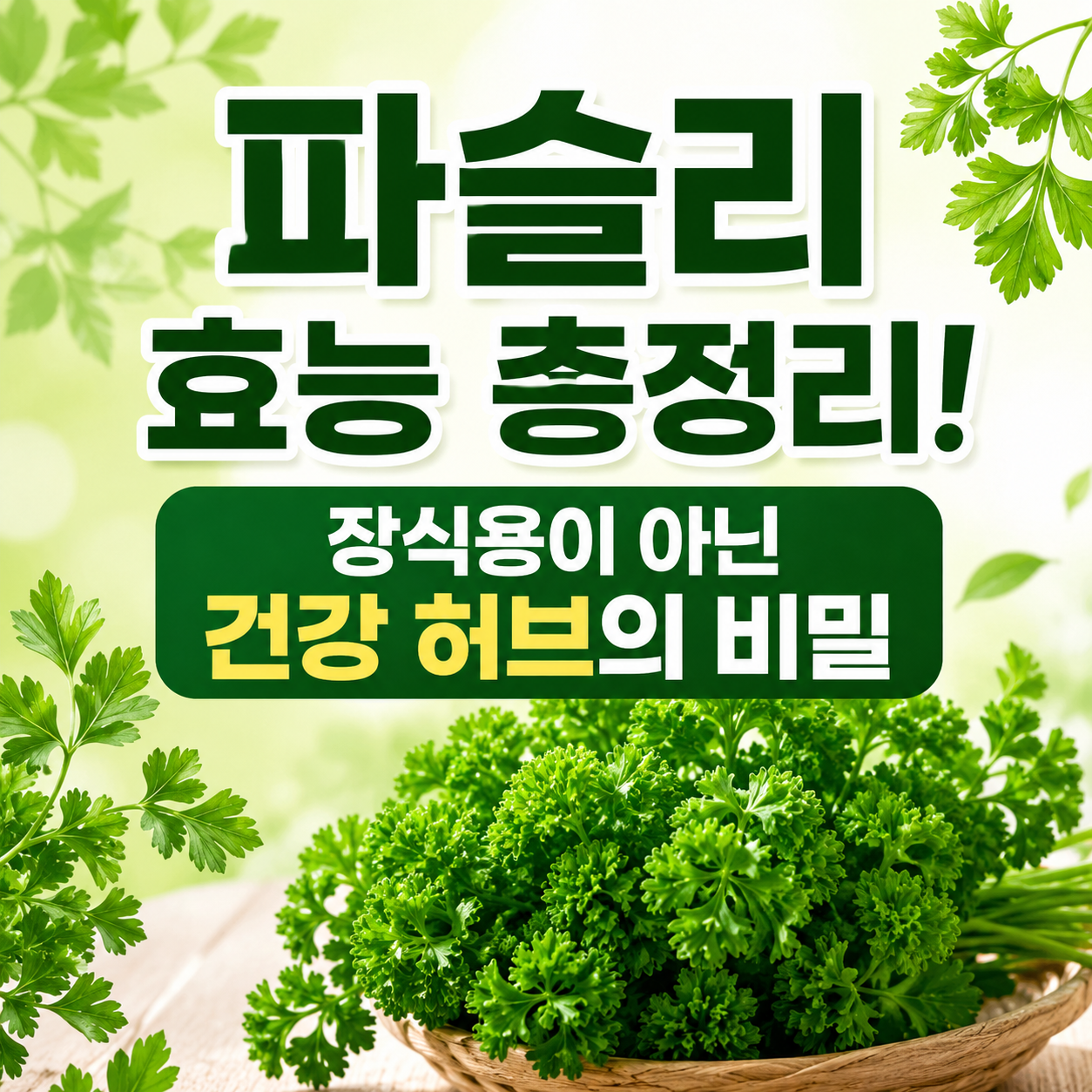 파슬리 효능