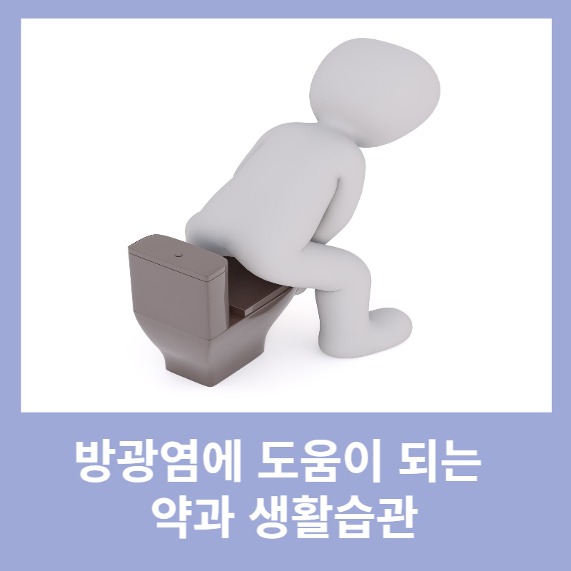 방광염