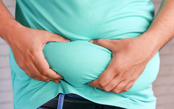 내장지방 체지방 염증 지방 돕는 수국잎 열수 추출물 대표 효능 3가지 및 부작용 알아보기