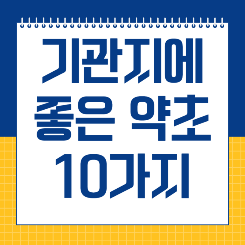 기관지에 좋은 약초