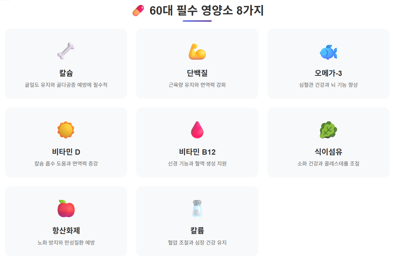 60대 필수 영양소 8가지 인포그래픽