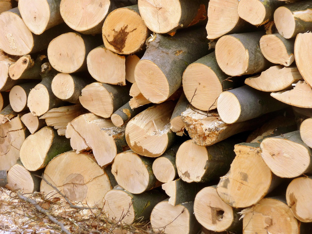 난방비지원신청 필수 가이드