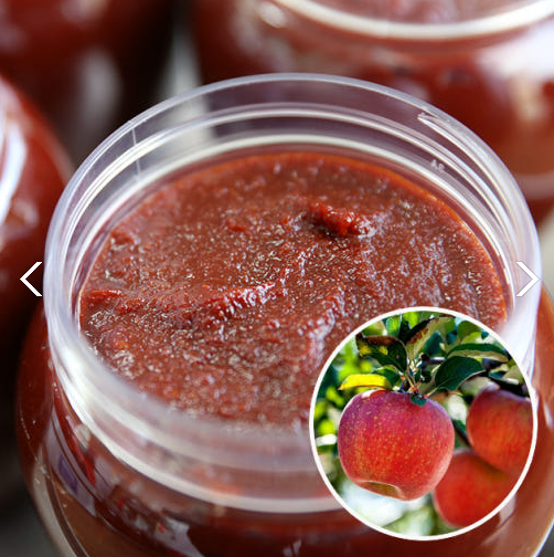 6시내고향 토마토고추장 예산