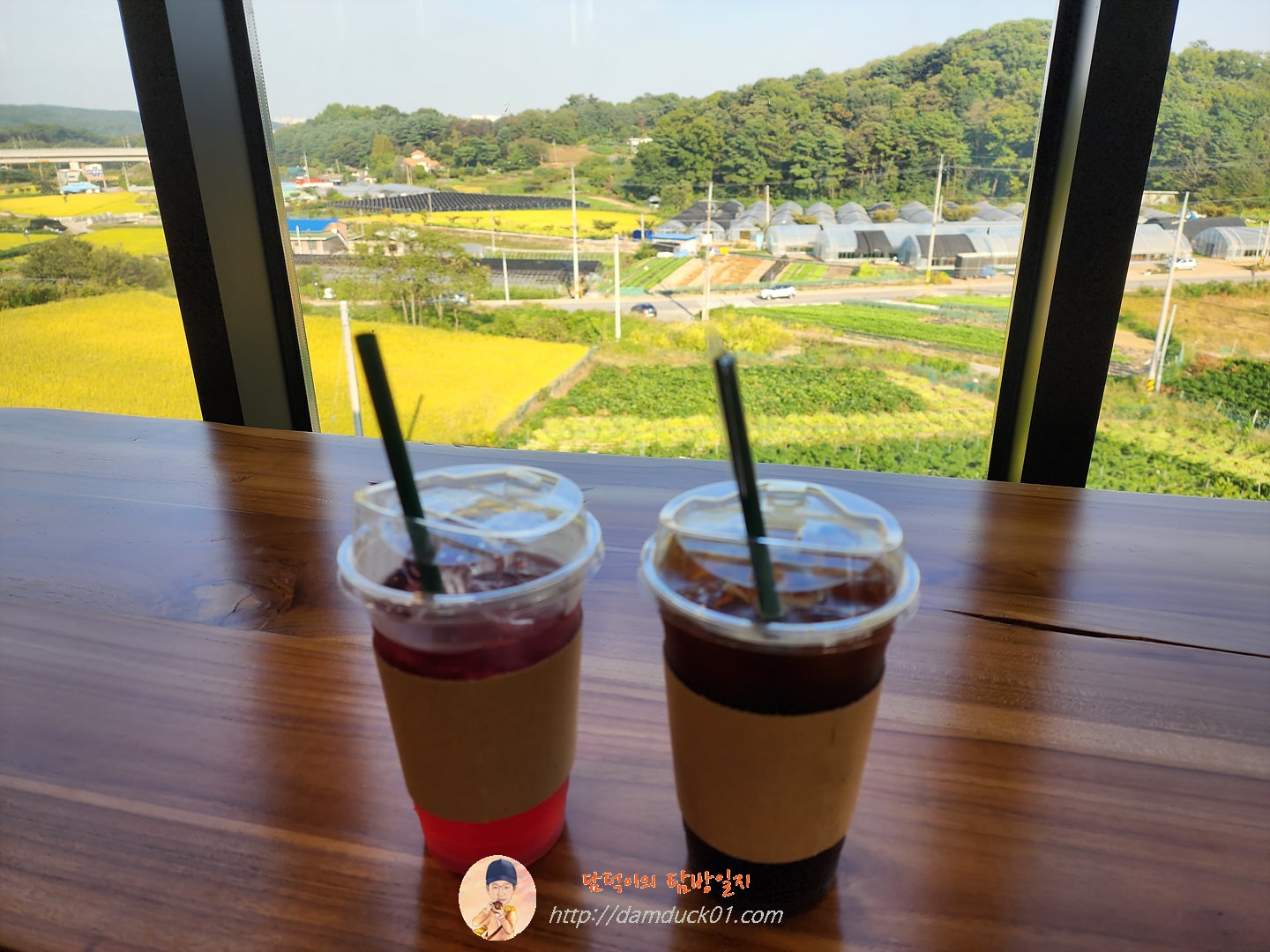 카페내리 논 뷰