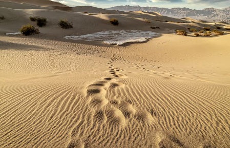 실크로드 따라 향신료의 비밀 알아보기