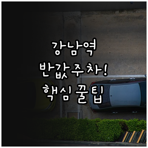 강남역 장시간 주차 시 유리한 일일 ..
