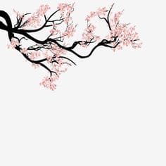 벚꽃