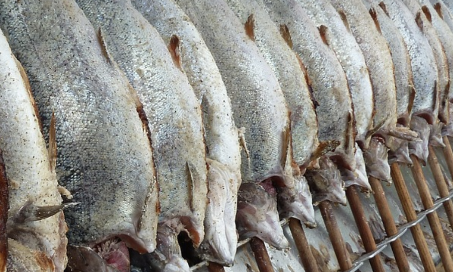 대구-간유-항산화-염증-눈건강-뼈-관절통증-심장