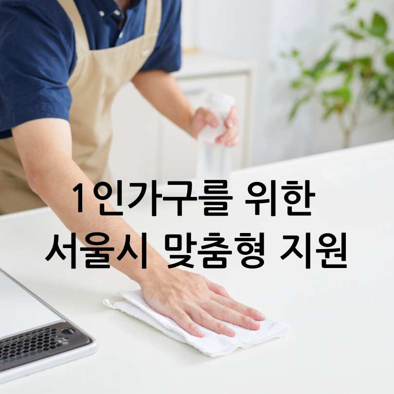 1인가구를 위한 서울시 맞춤형 지원
