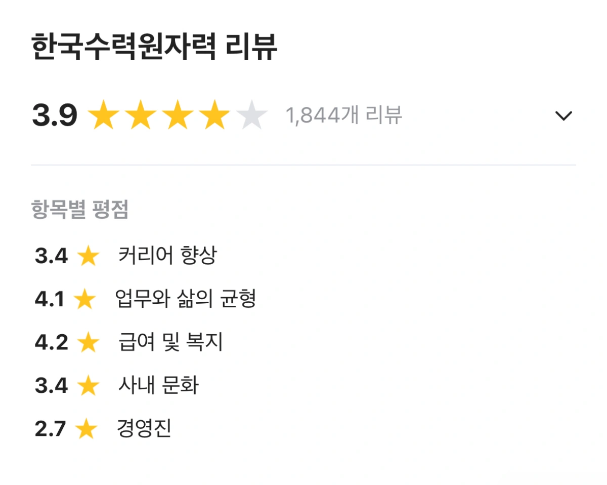 한국수력원자력-블라인드-리뷰