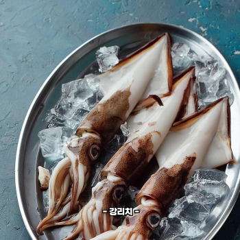 오징어 삶는 방법
