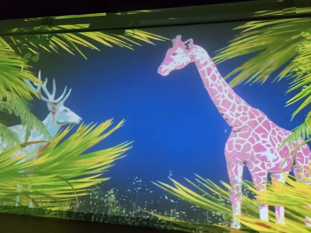 빛이 머무는 곶 - 동물 모습