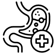 소화 건강 지원 사진