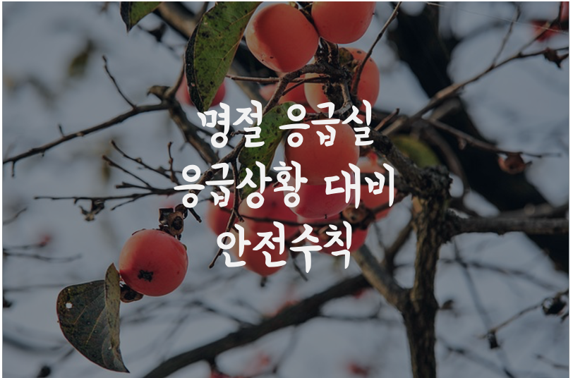 명절 응급실 응급상황 대비 안전 수칙 글자이미지