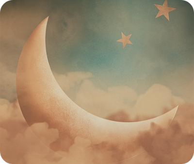 성분 비교 분석