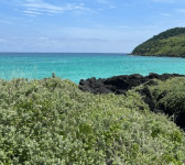 제주도 비행기표 싸게 사는법