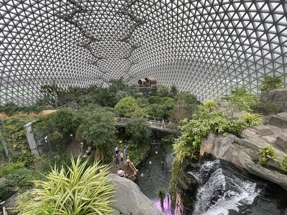 거제식물원 내부 모습