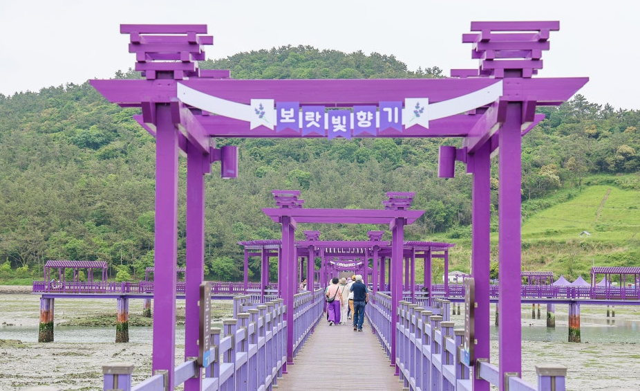 신안 퍼플교
