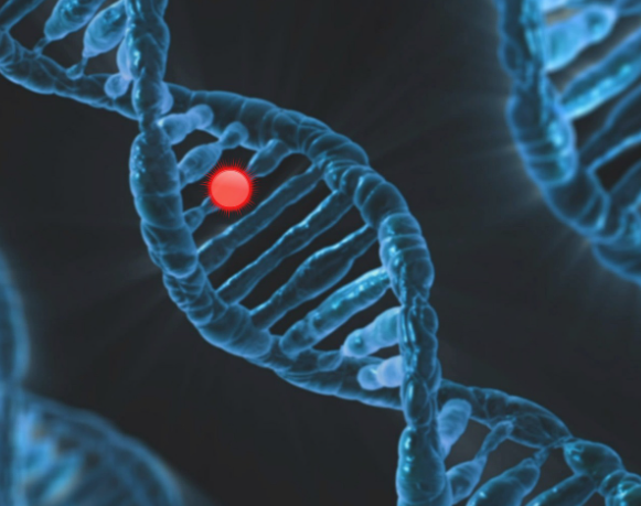 고대 DNA 분석(Ancient DNA Analysis): 과거를 푸는 유전학의 열쇠