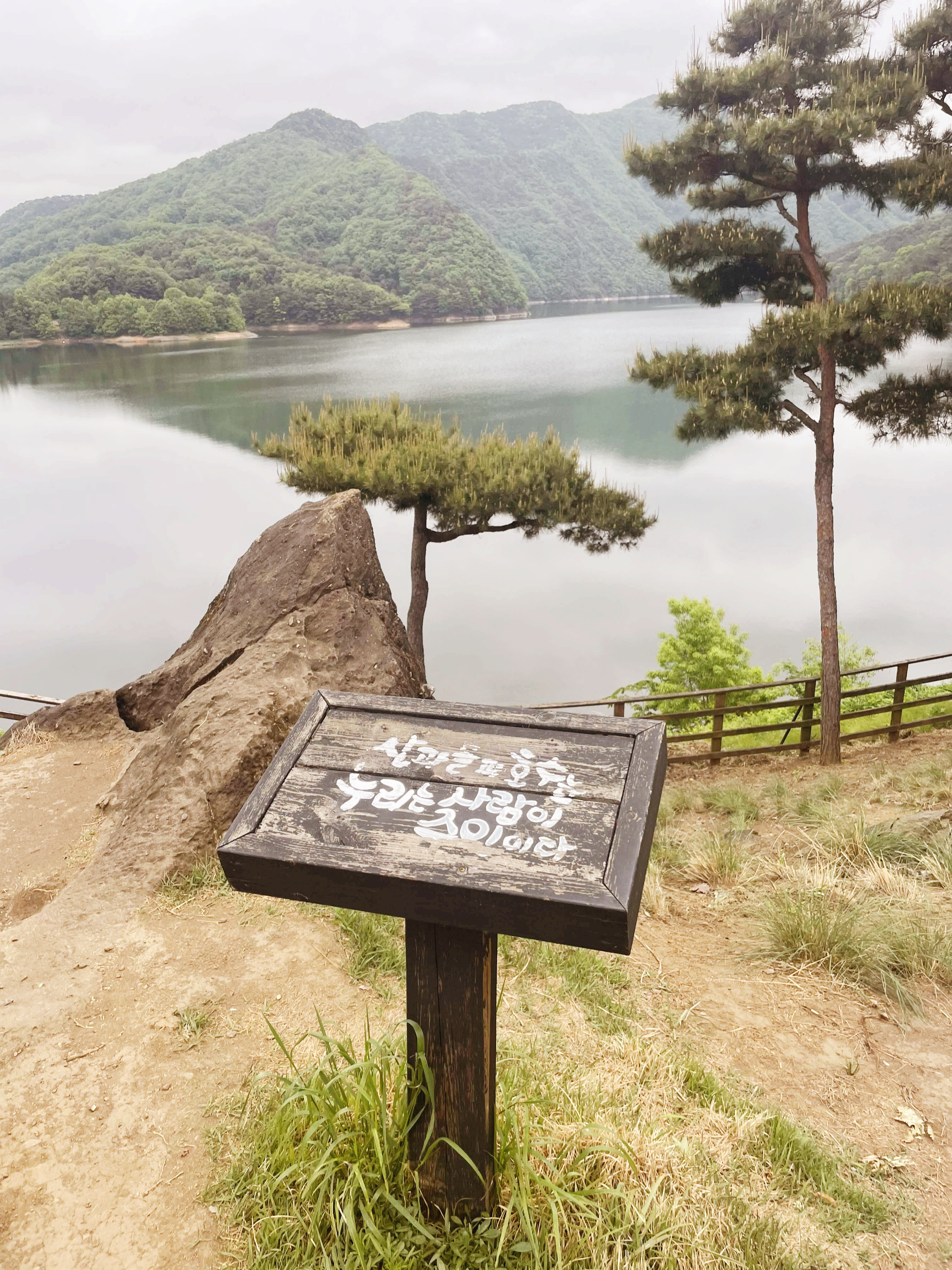 대전근교가보만한곳 옥천수생식물원