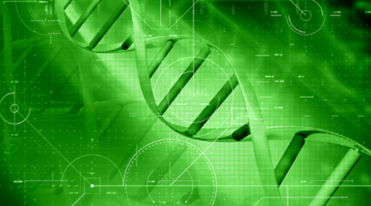 바이오 빅데이터의 구성 요소 이해하기