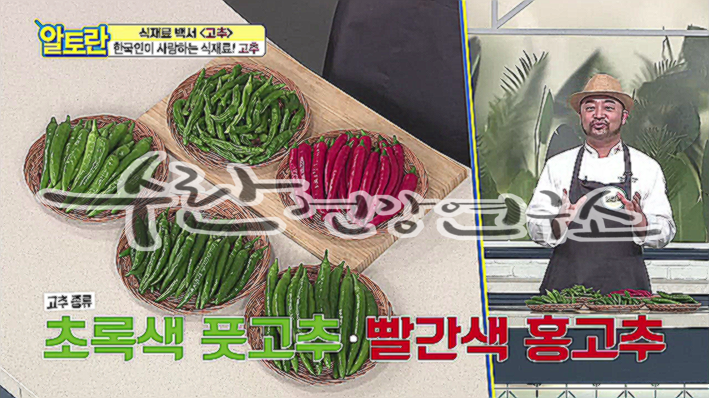 고추씨 활용법
