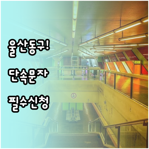 울산 동구 주정차단속 문자 서비스 혜..