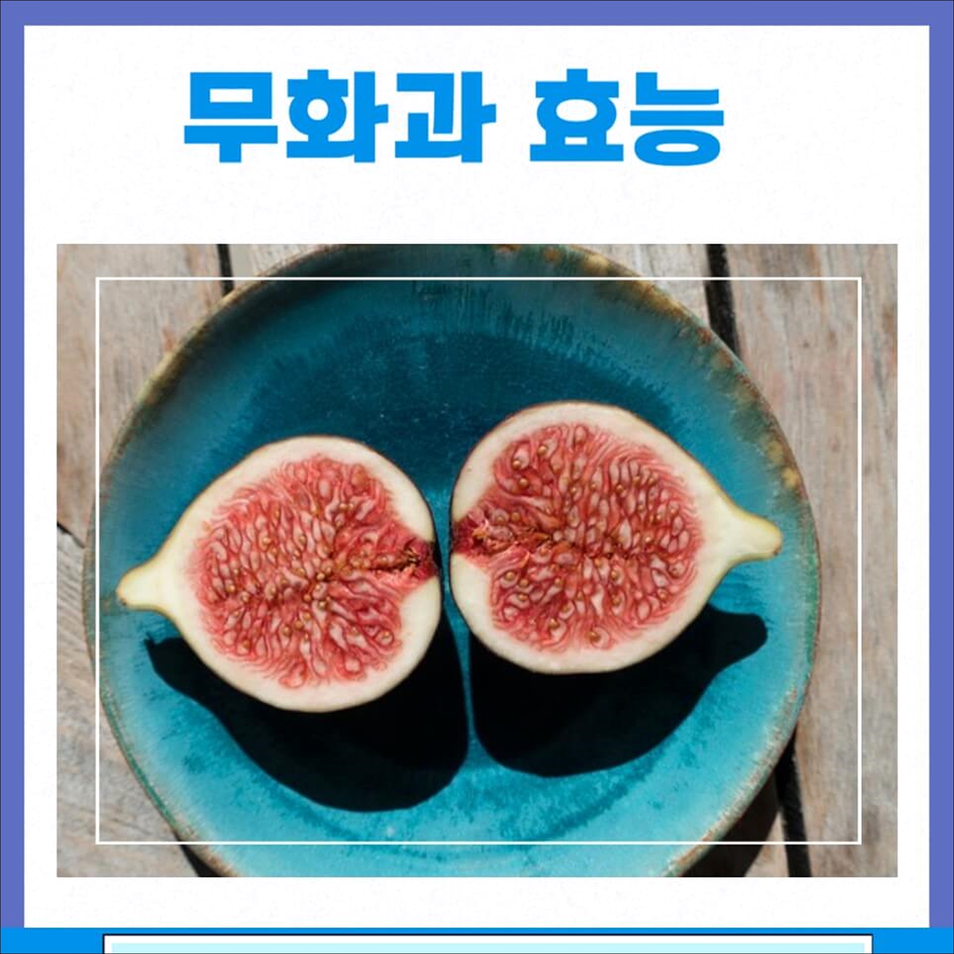 무화과 효능