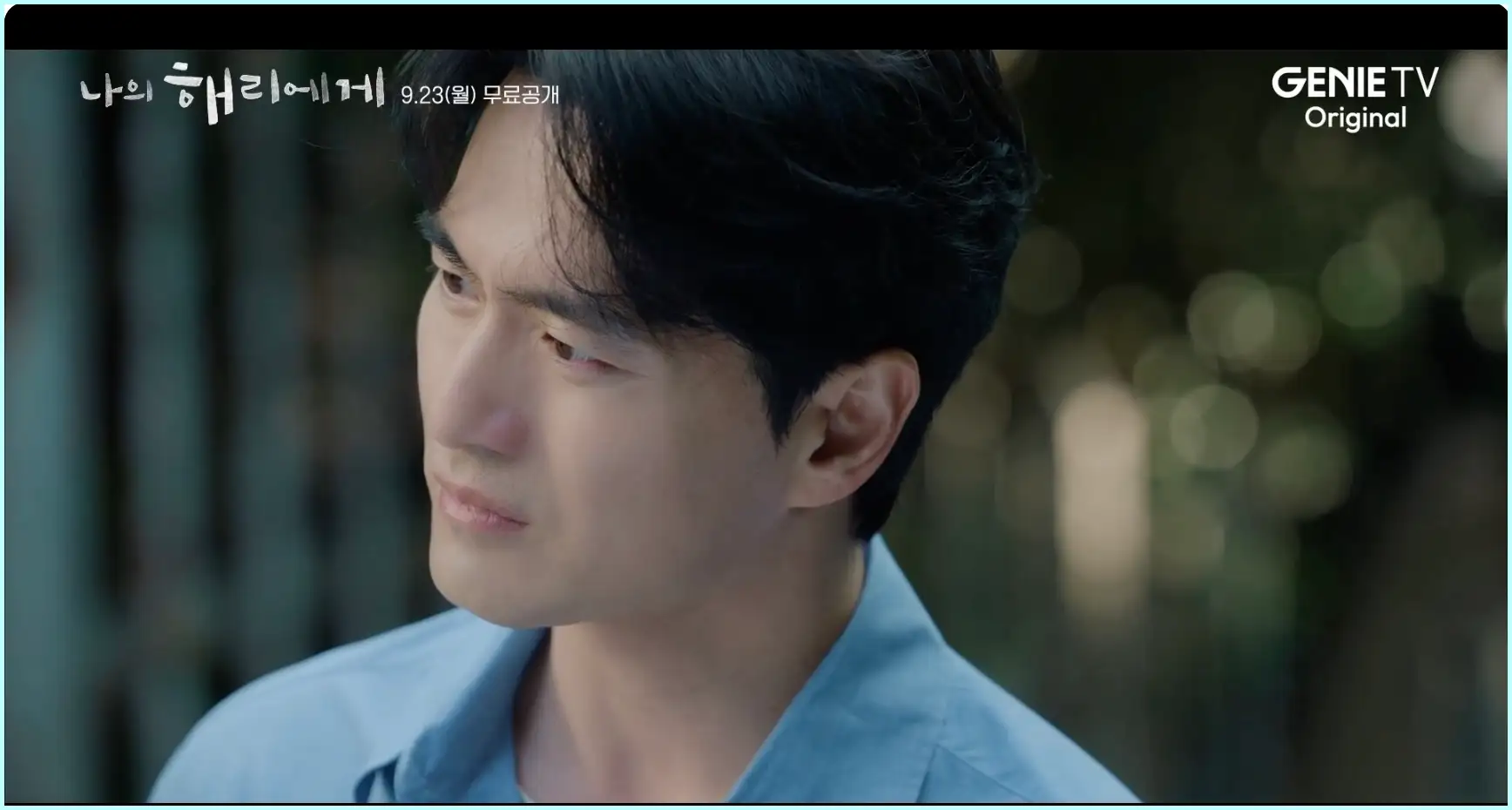 나의 해리에게 등장인물 인물관계도 줄거리 ott