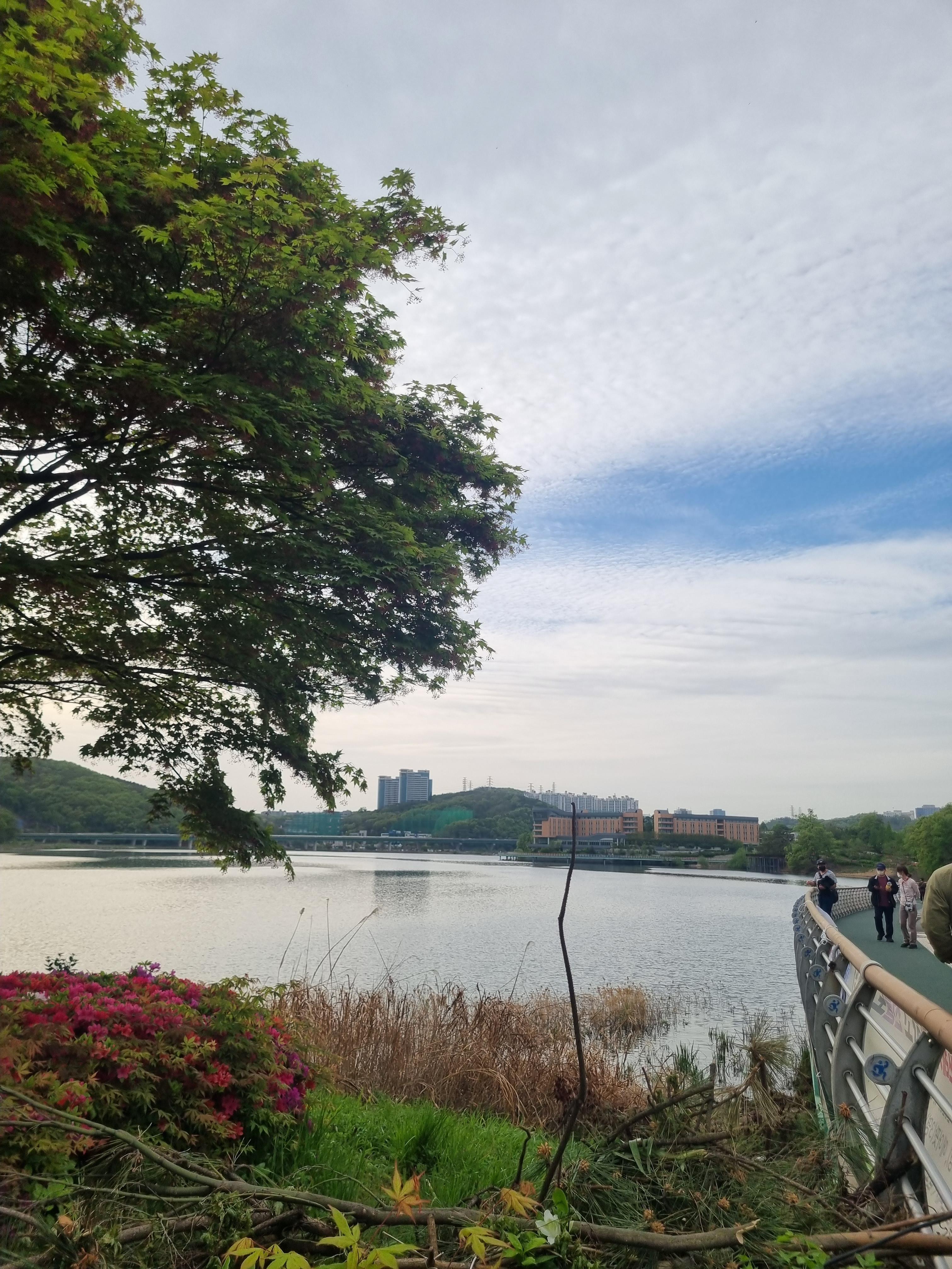 기흥호수공원 둘레길
