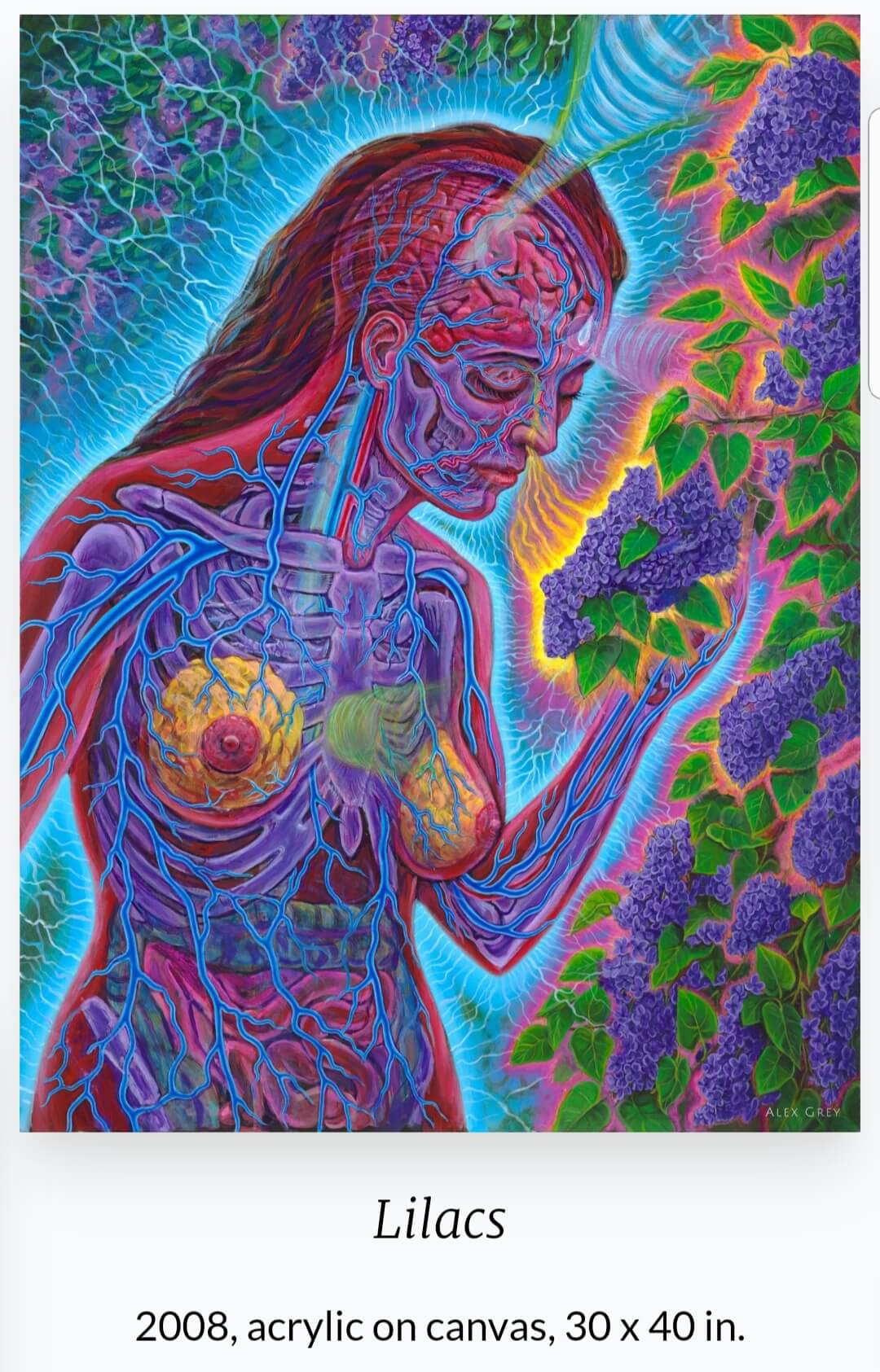 Alex Grey (1953~ ) 작품 &amp;#39;Lilacs&amp;#39;