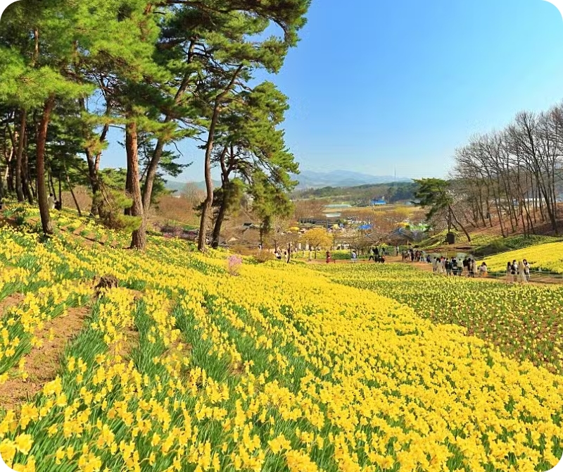 서산유기방가옥