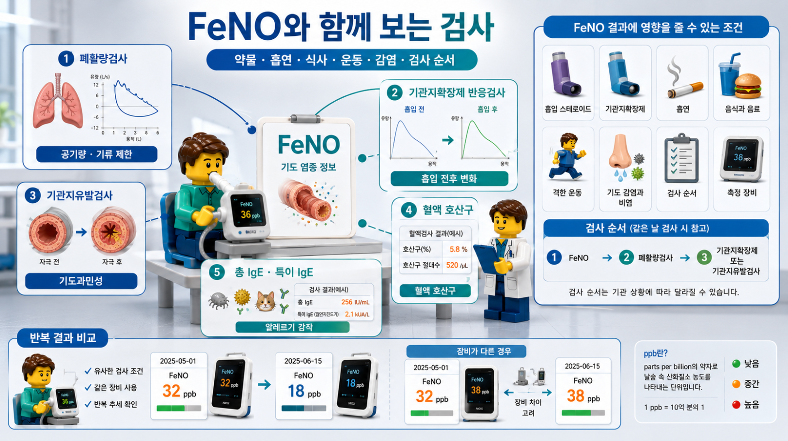 FeNO와 함께 시행하는 관련 검사와 결과에 영향을 주는 조건을 정리한 의료 인포그래픽