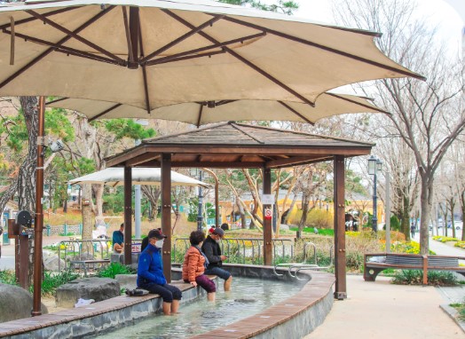 봄날의 대전, 이색체험 떠나보기