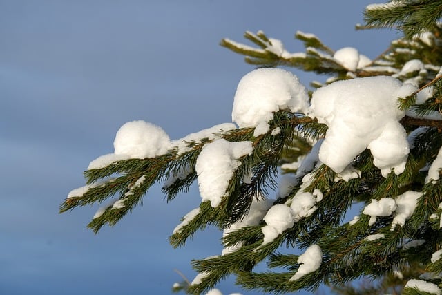 일주일 날씨 예보 기온 강수량 전망