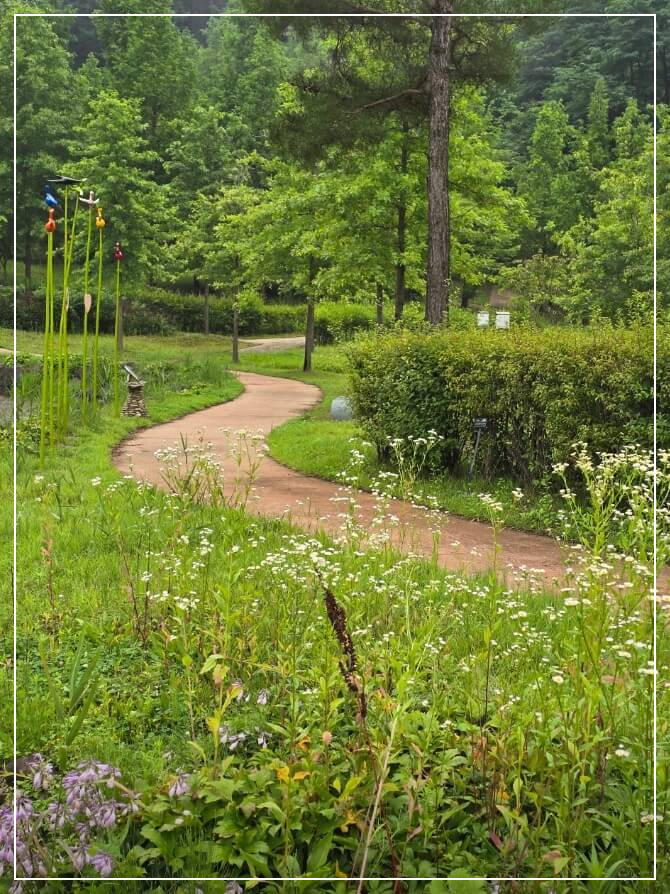 괴산 가볼만한곳 베스트10 성불산 자연휴양림