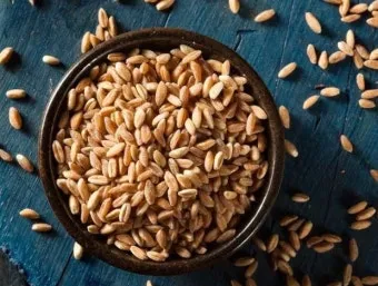 파로 곡물 효능 부작용 먹는 방법_31