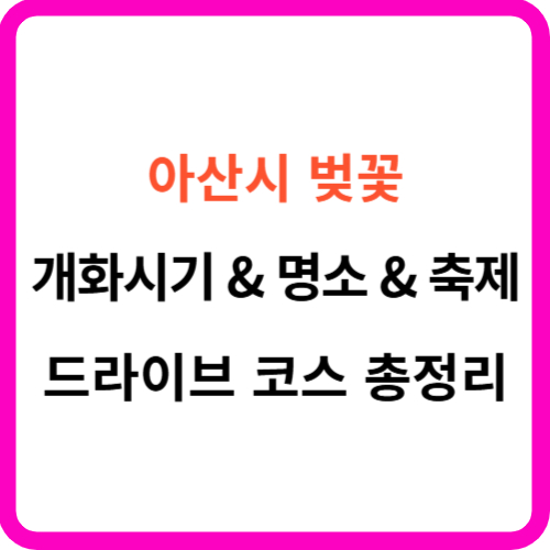 아산 벚꽃 개화시기 축제 명소 드라이브 코스 가이드 썸네일