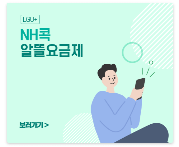 알뜰폰요금제