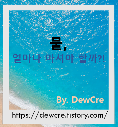 물만 잘 마셔도 건강이 달라진다! 하루 수분 섭취 권장량과 실천 팁