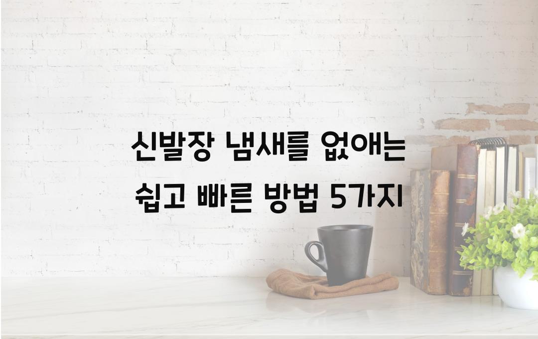 신발장 냄새를 없애는 쉽고 빠른 방법