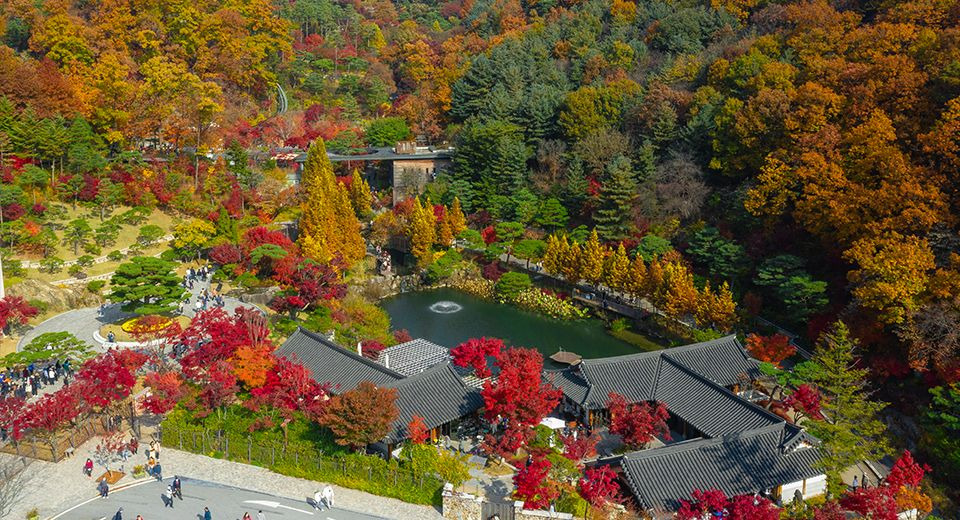 화담숲 예약하기