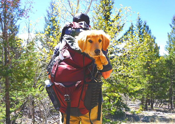 트레킹과 하이킹 여행