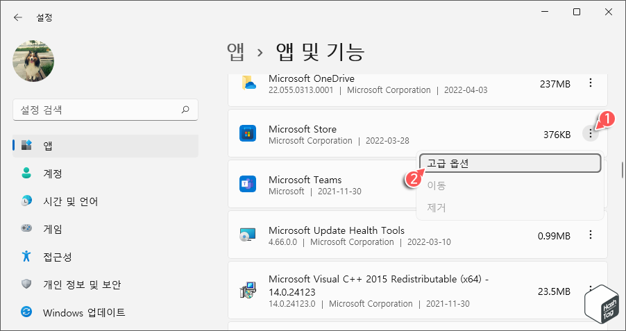 Microsoft Store > 고급 옵션