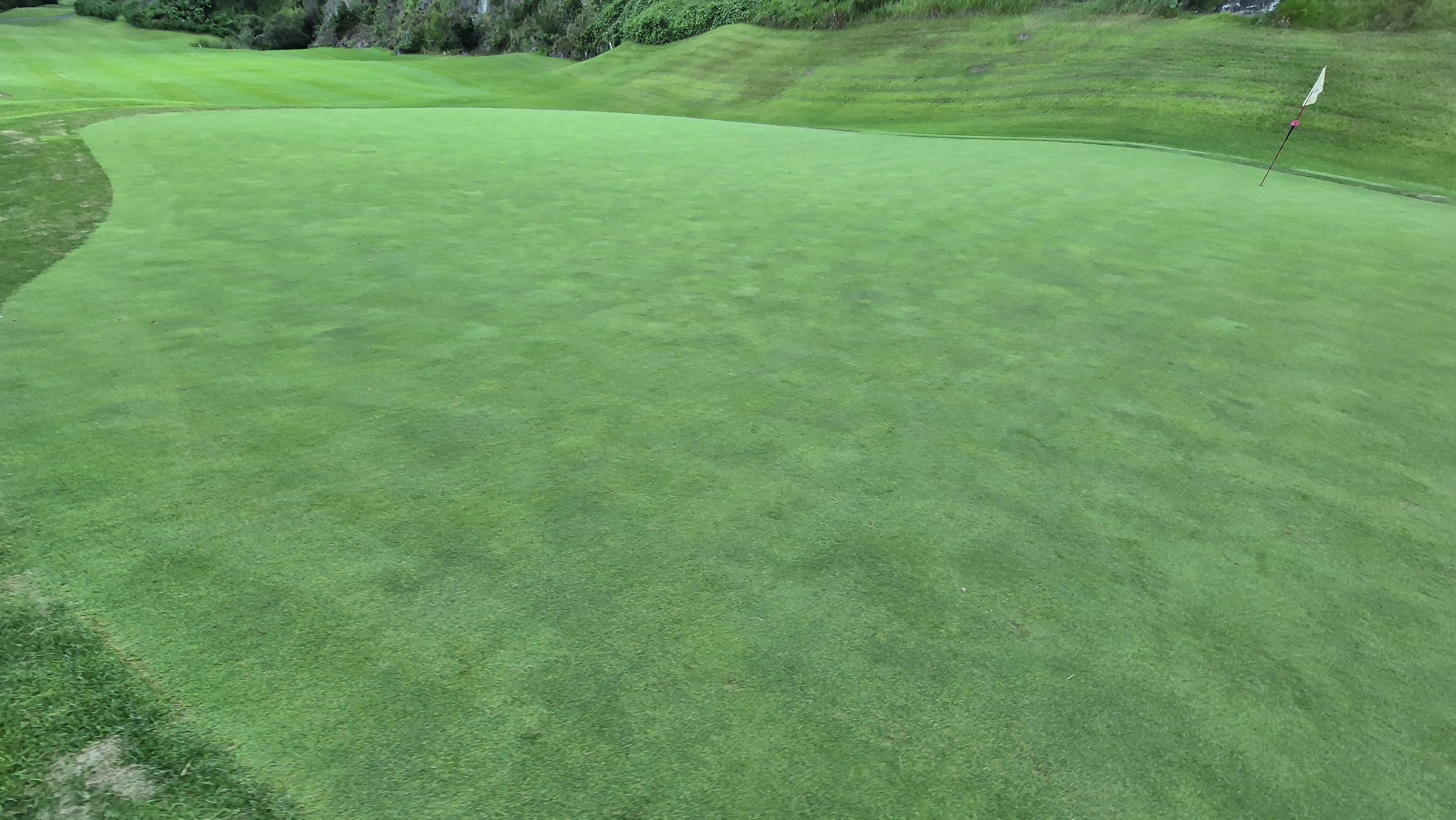 대영힐스cc 청-력 코스 라운드 후기