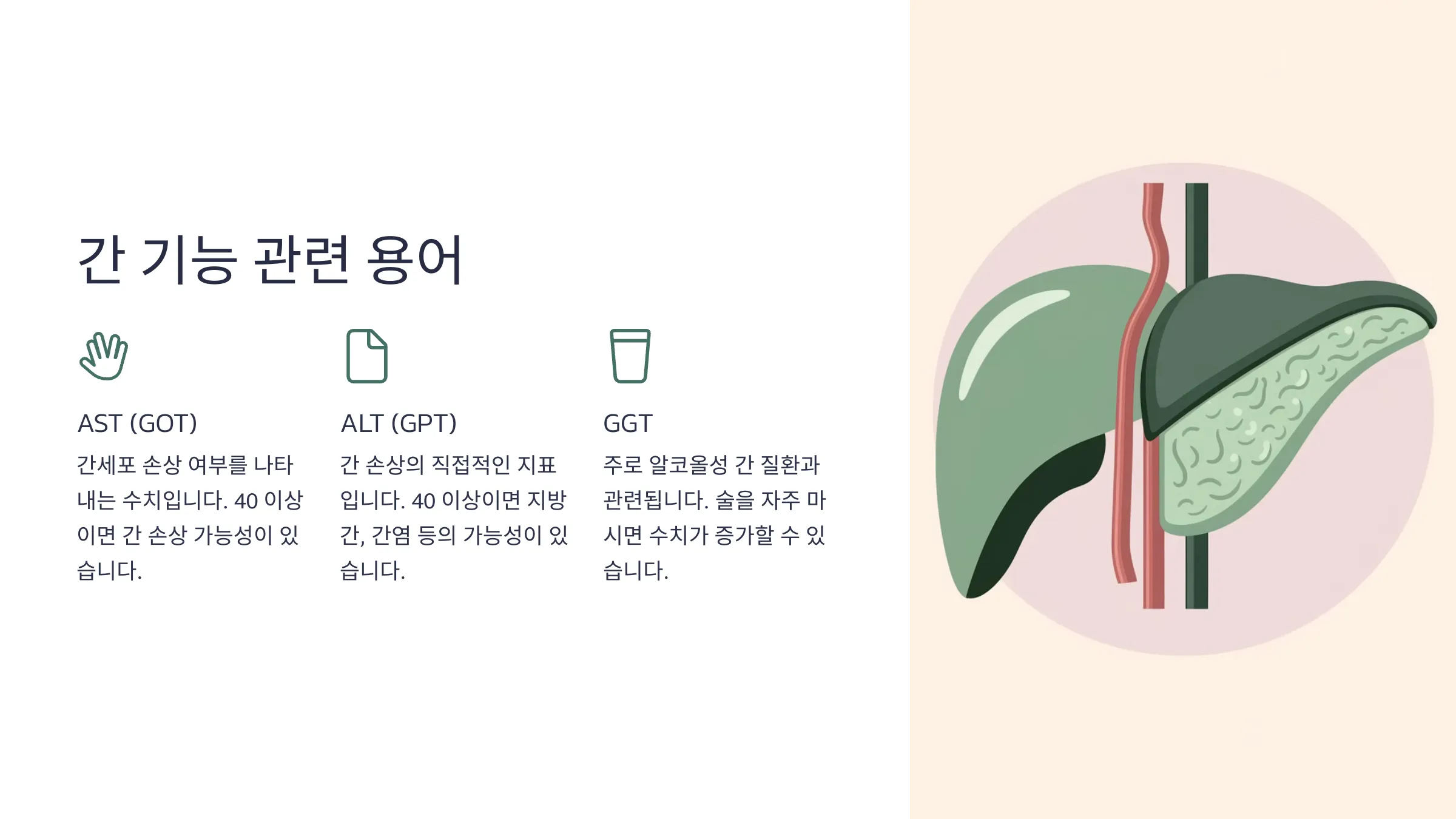 간 기능 관련 용어