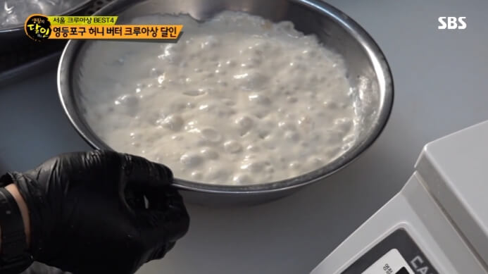 발효종