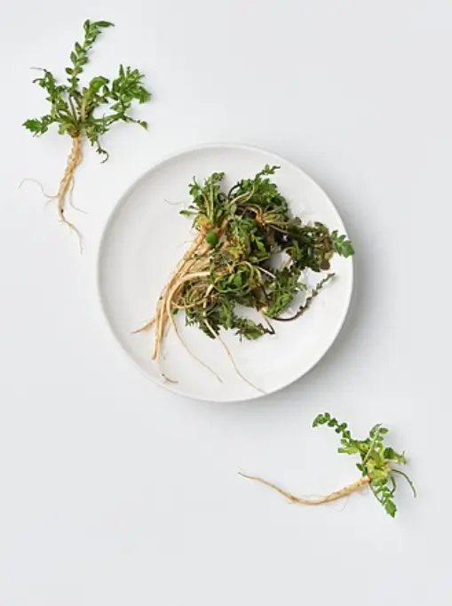 미세먼지에 좋은 음식